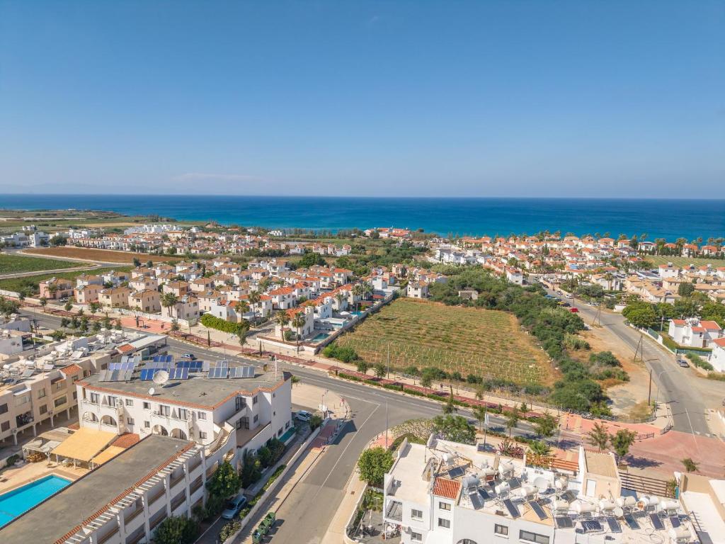 SeaVibe — seavibe coast